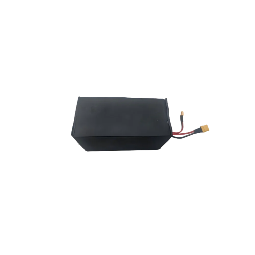 E20 Battery Assembly