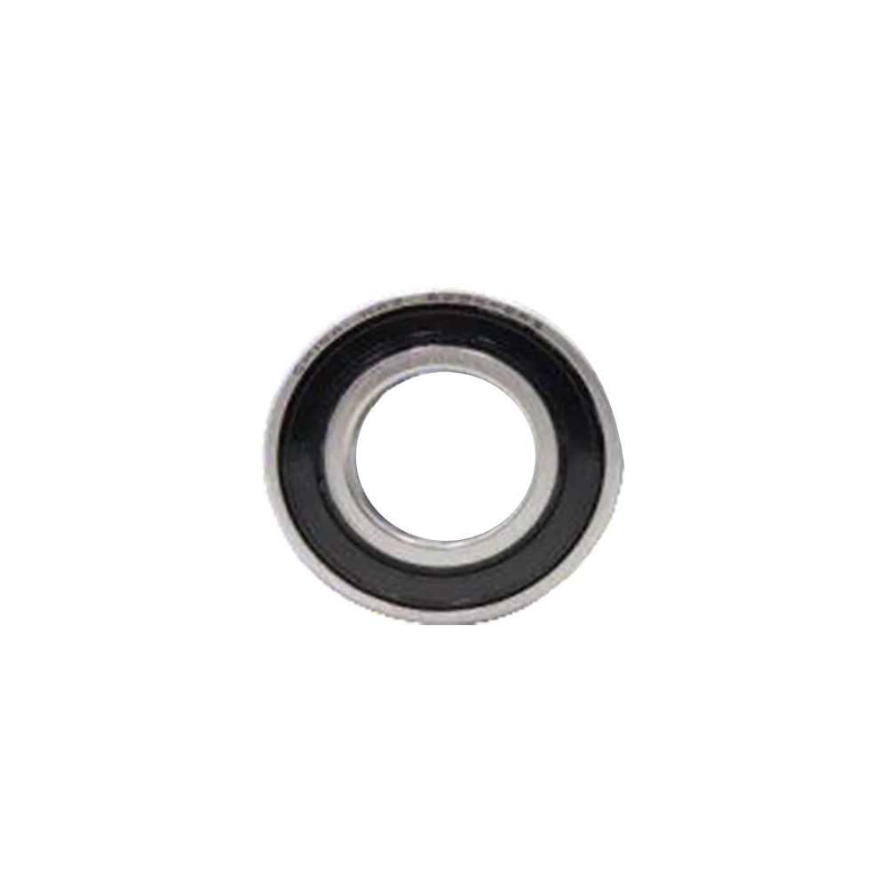 RS Bearing 6002