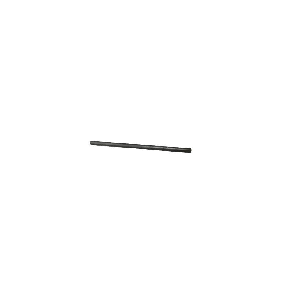 RS Stem