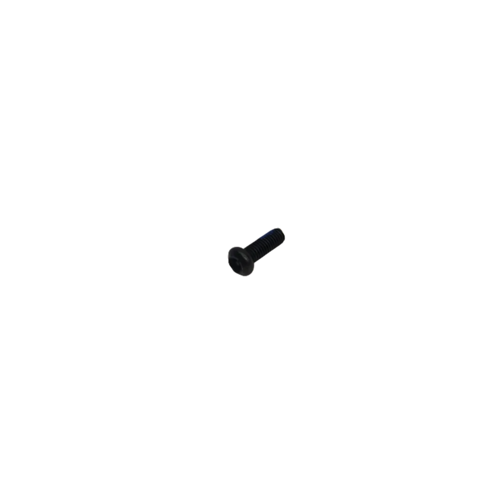 Torx Anti-Theft Round Head Machine Screw